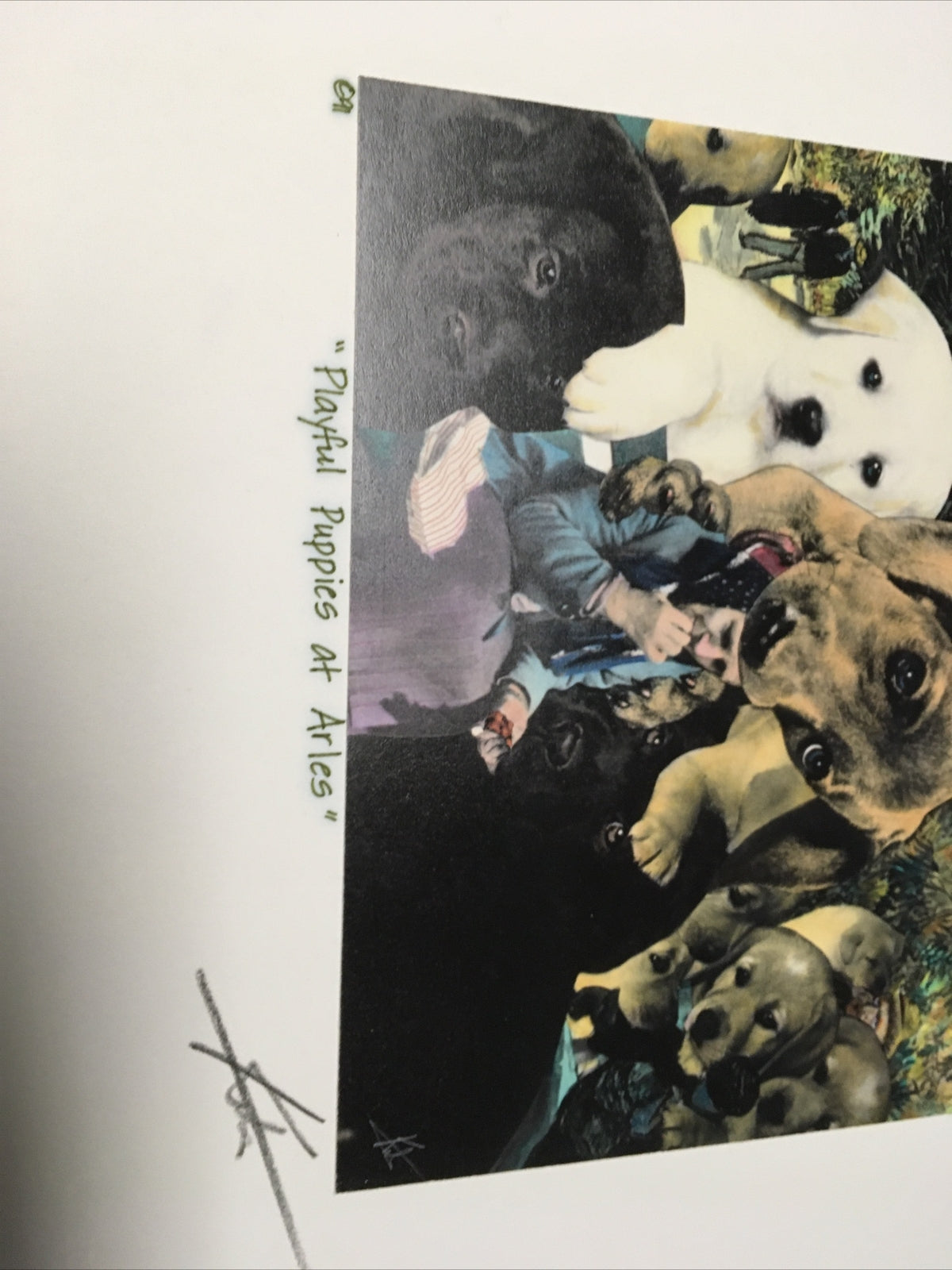 1991 Artist BARRY KITE Signed Print “Playful Puppies At Aries” Pop Art, 14”x11”1