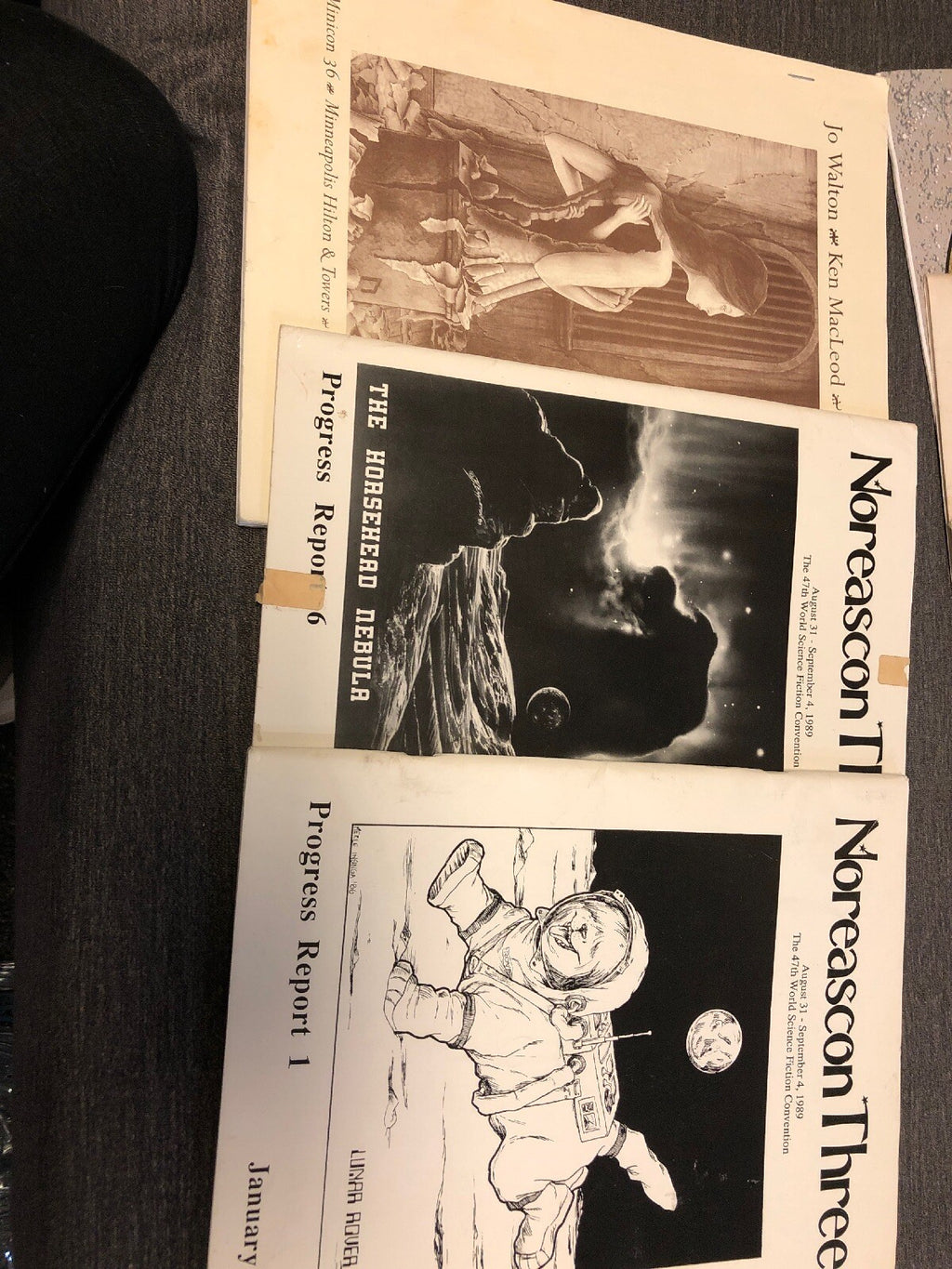Lot 7 Noreascon Three Janice Adventure Catch Doubloon Bear Went Over The Mountn1