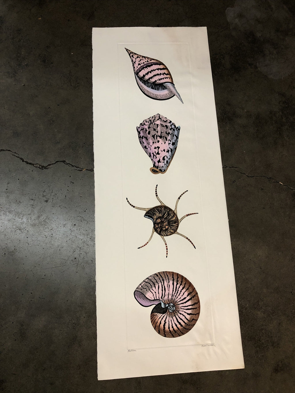 Dan Mitra Signed Etching “Nautilus” 36”x13”0