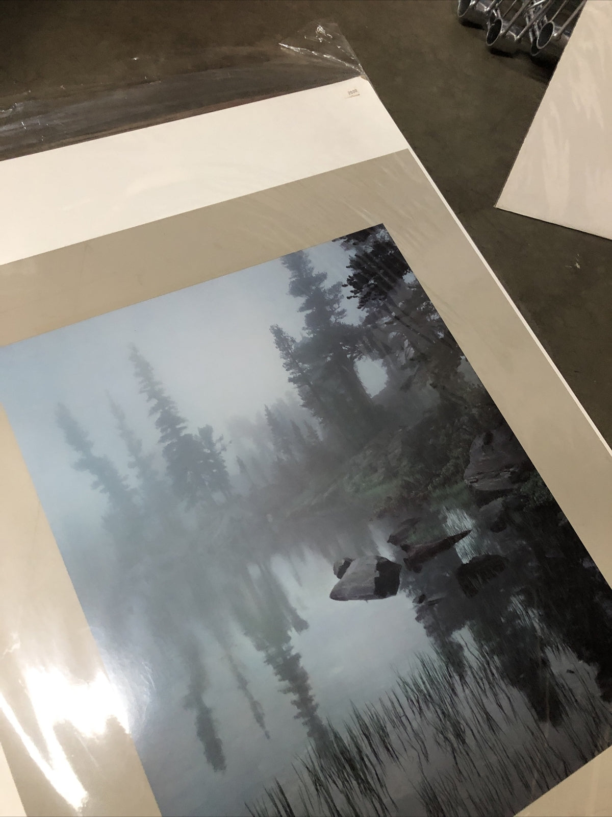 Joseph Holmes 1985 Editions Limited Galleries Poster 35”x25” (Trees In Fog)4