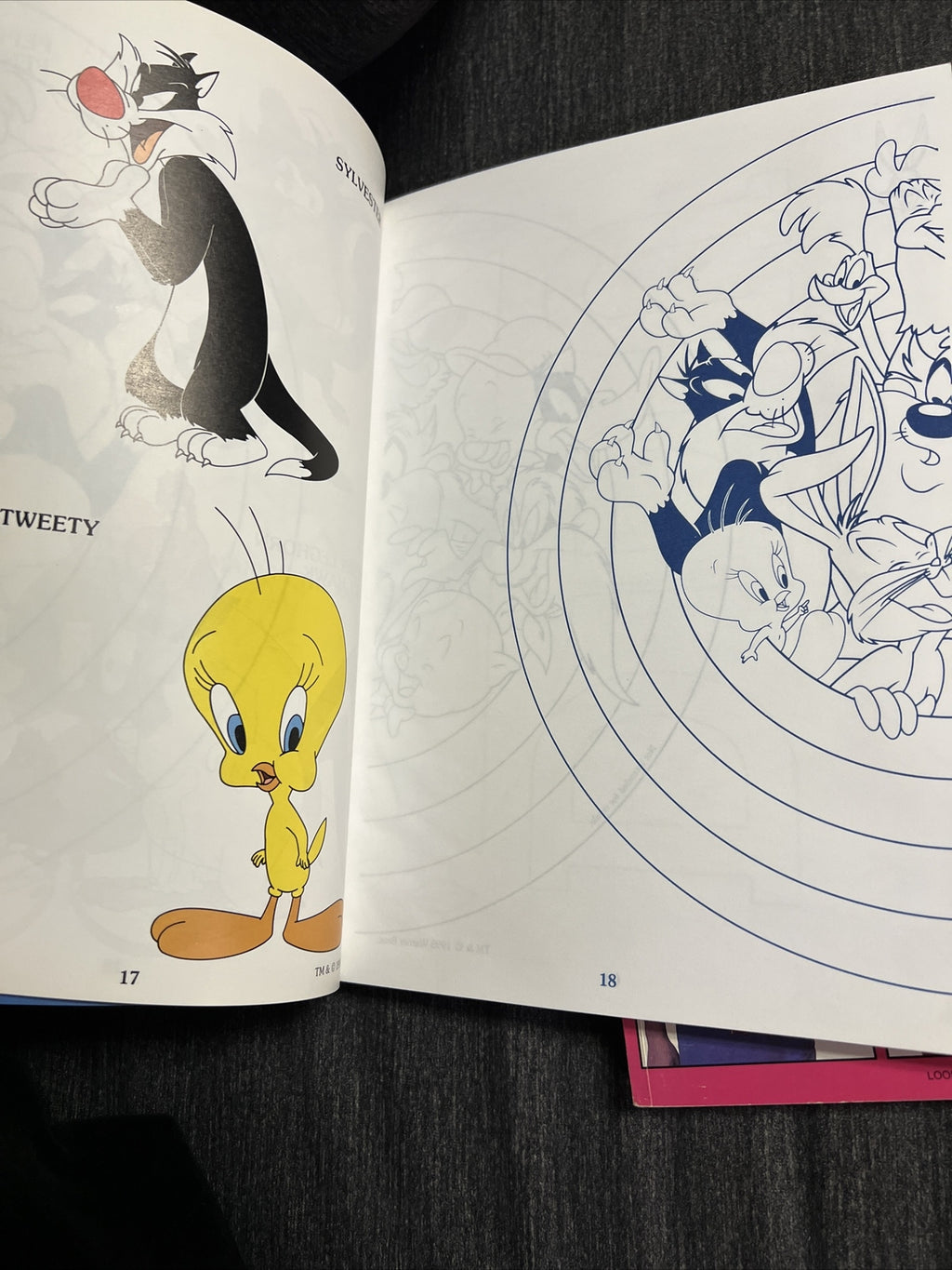 2 Vintage LOONEY TUNES Iron On Transfers BOOK Leisure Arts Cartoons 1993 19954