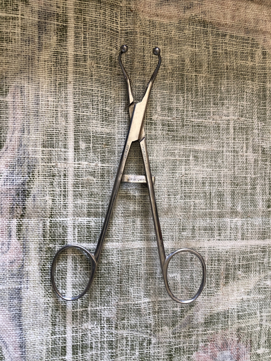 Vintage V. Mueller Stainless Steel Forceps0