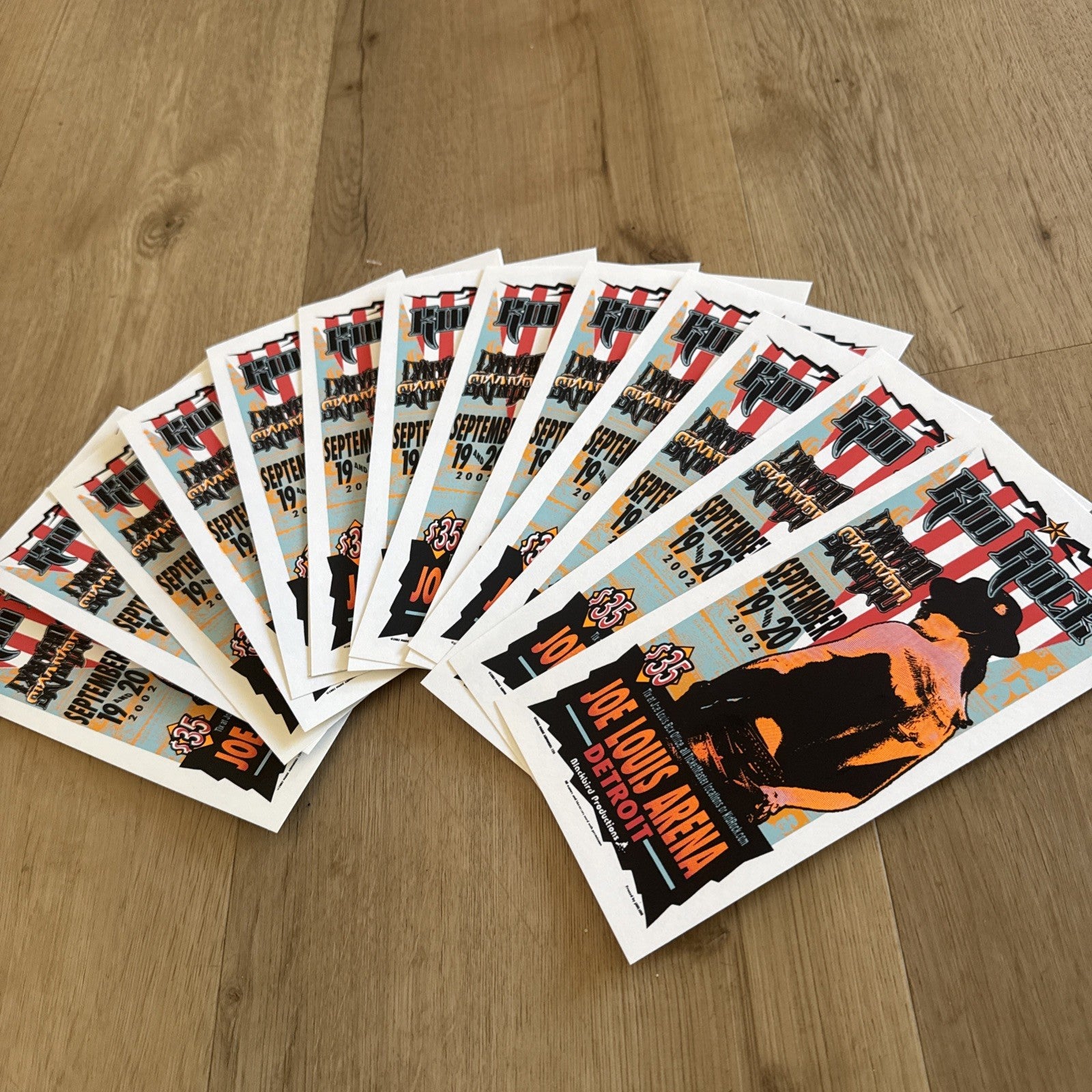 Lot of 14 Kid Rock Lynyrd Skynyrd 2002 Detroit Concert Handbills Mark Arminski5