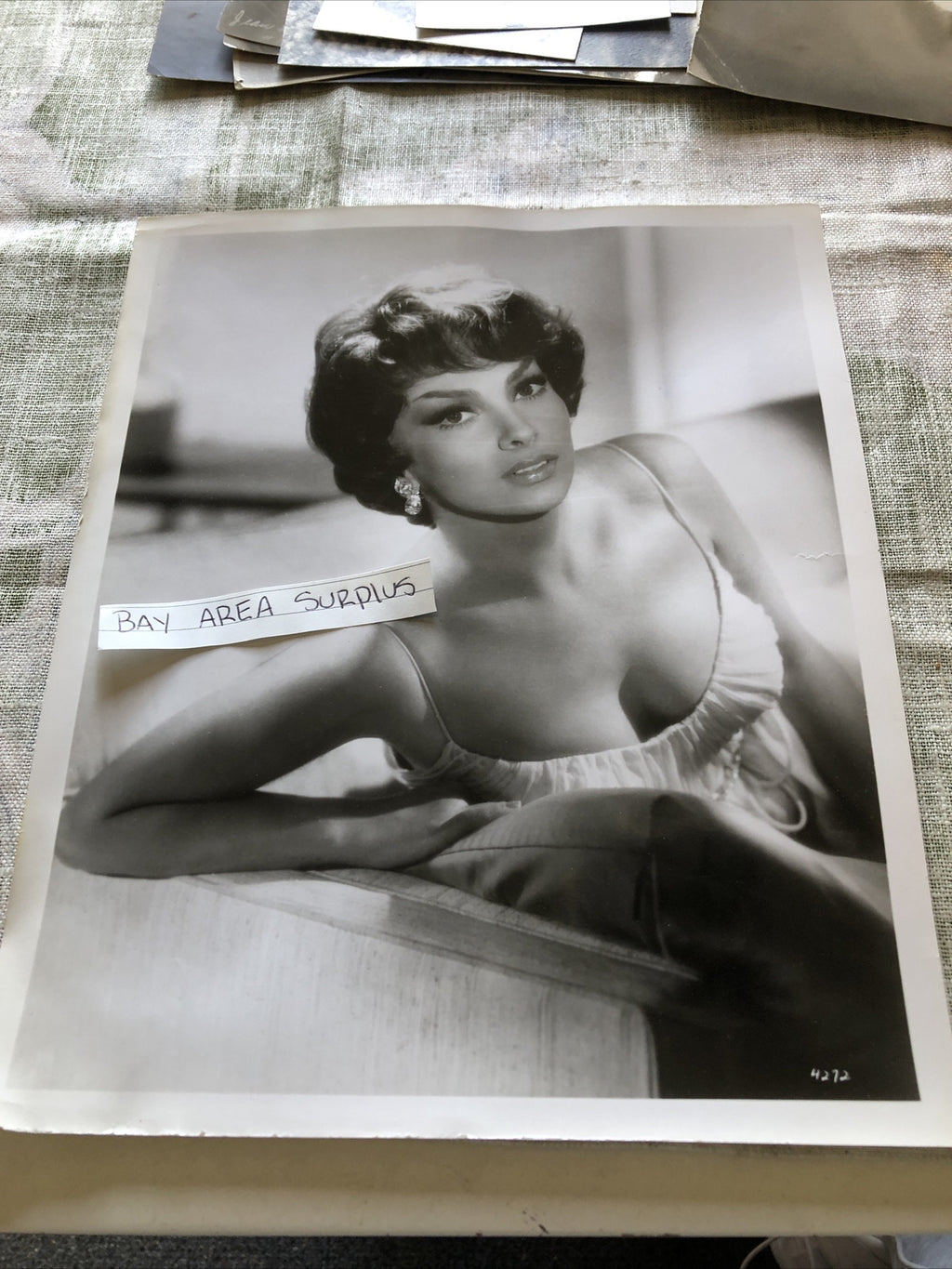 Rare Original Photo Of Gina Lollobrigida Unpublished Hollywood 10”x8”0