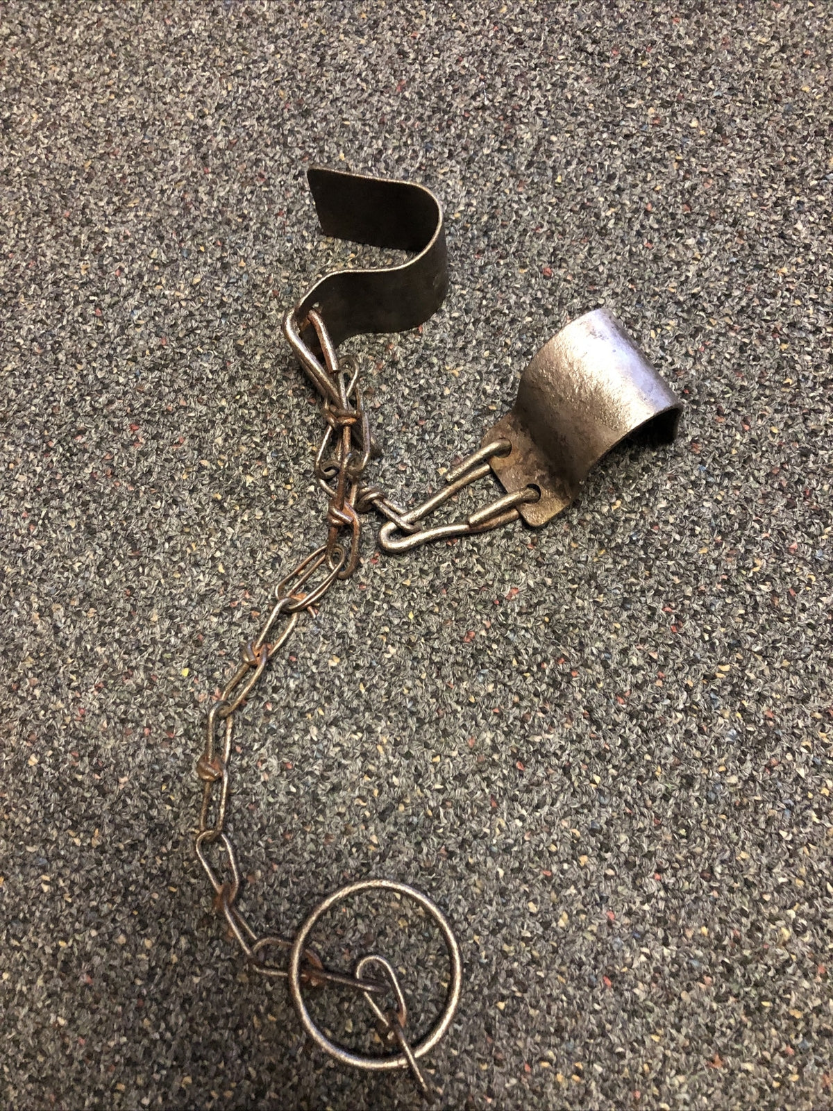 Antique Cow Hobbles Kickers Iron Chains Early 1900's0