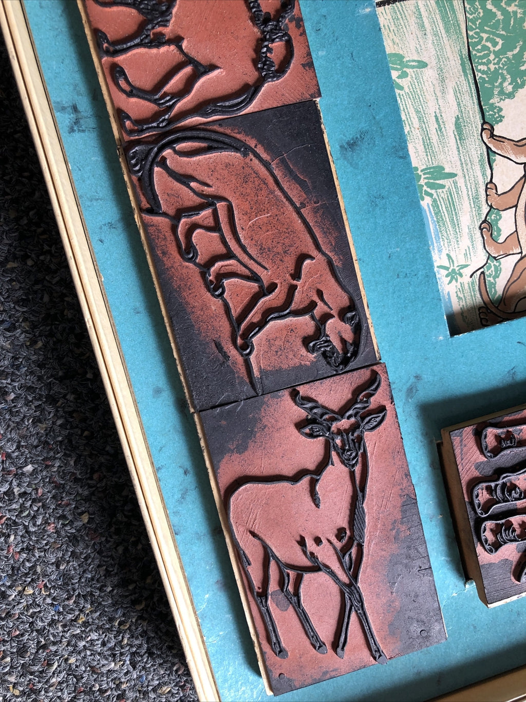 Rare Vintage Printing Set By T.S.T Co. “The Animal Kingdom” No. 49602