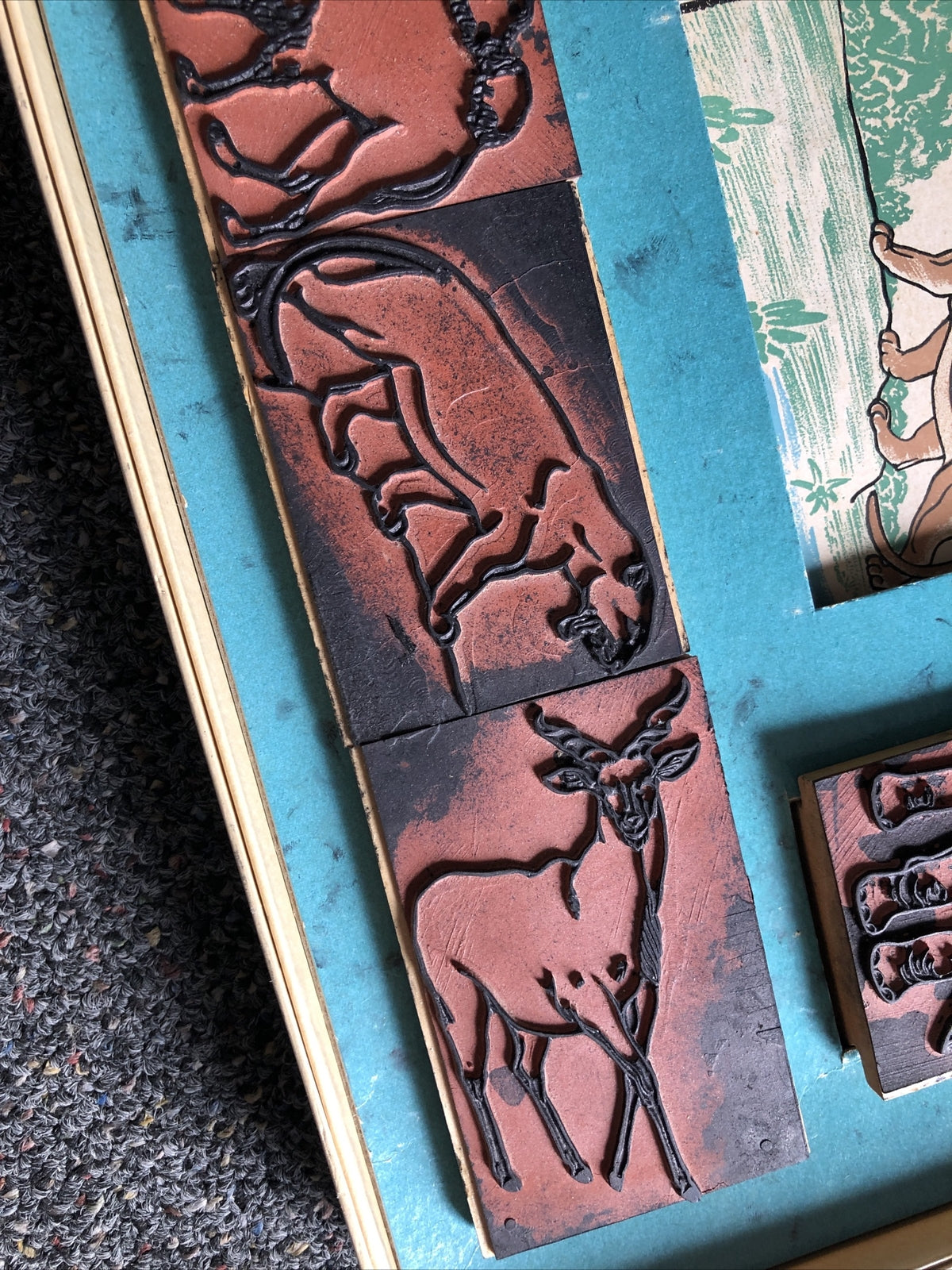 Rare Vintage Printing Set By T.S.T Co. “The Animal Kingdom” No. 49602