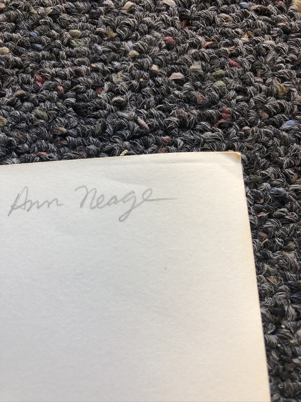 Rare Vintage Original Unpublished Photo Of ANN NEAGE 10”x7.5”6