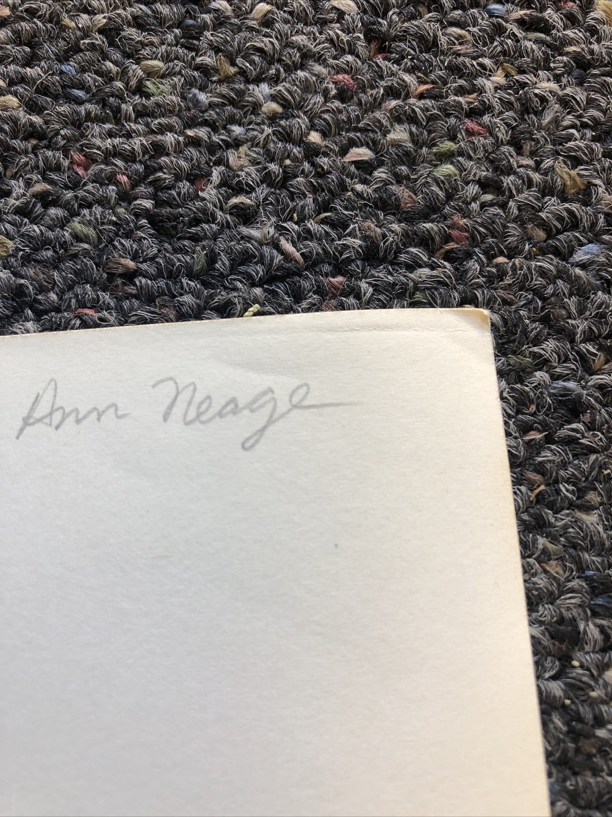 Rare Vintage Original Unpublished Photo Of ANN NEAGE 10”x7.5”6