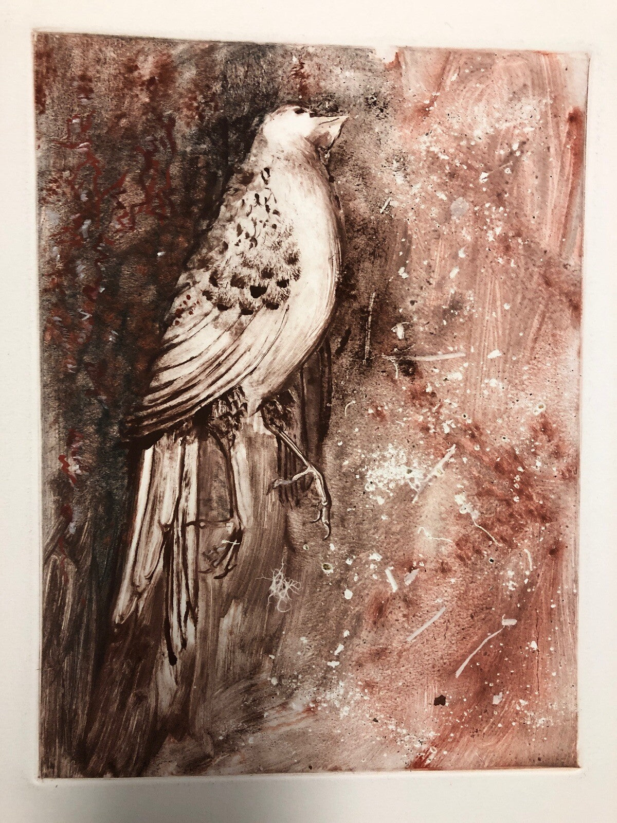 Dead Pigeon ABSTRACT EXPRESSIONIST BIRD Painting4