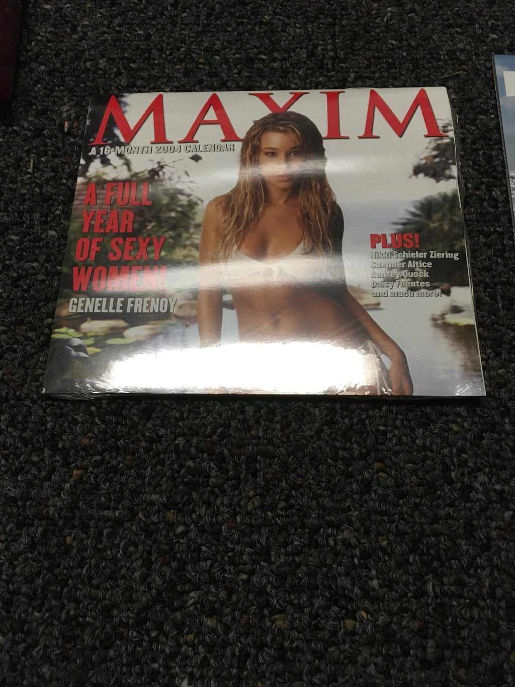 Lot 2: 2004 SPORTS ILLUSTRATED DAILY AT A GLANCE SWIMSUIT CALENDARs0