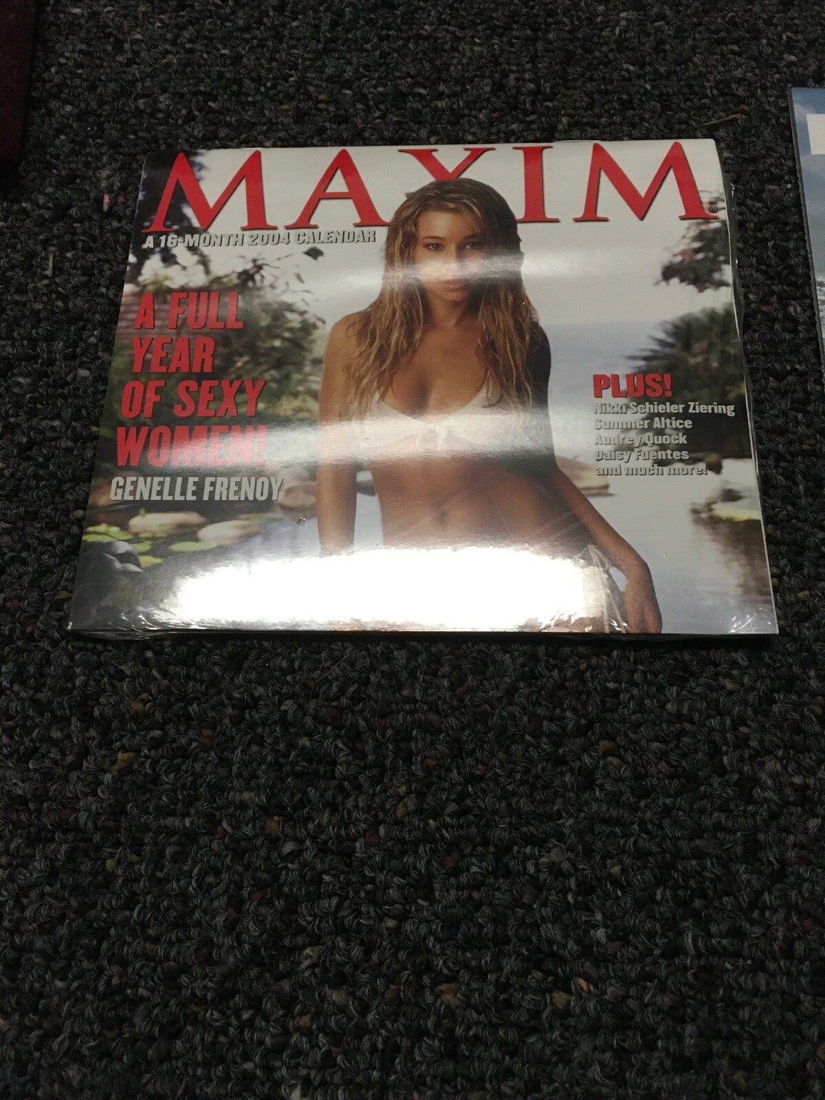 Lot 2: 2004 SPORTS ILLUSTRATED DAILY AT A GLANCE SWIMSUIT CALENDARs0