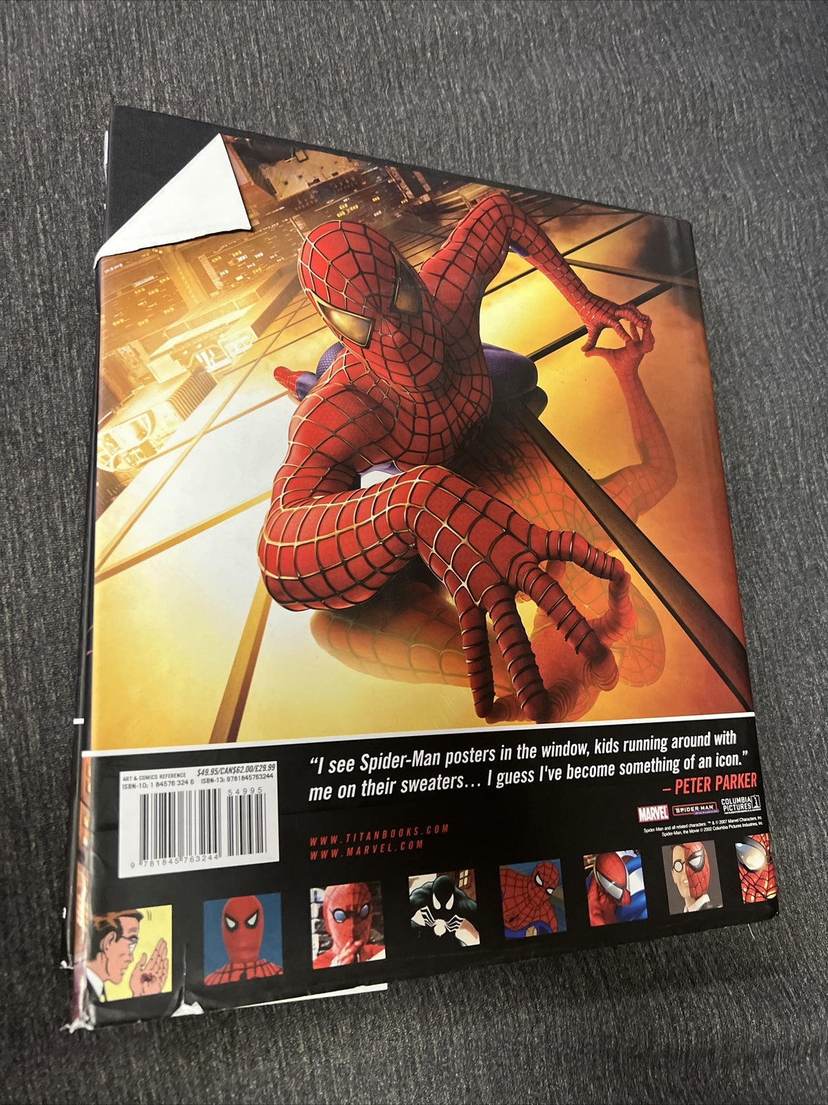 Spider-Man the Icon: The Life and Times of a Pop Culture Phenomenon (2007)7