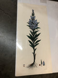 Dan Mitra Signed Etching Numbered 559/750 - 36”x16.5”0