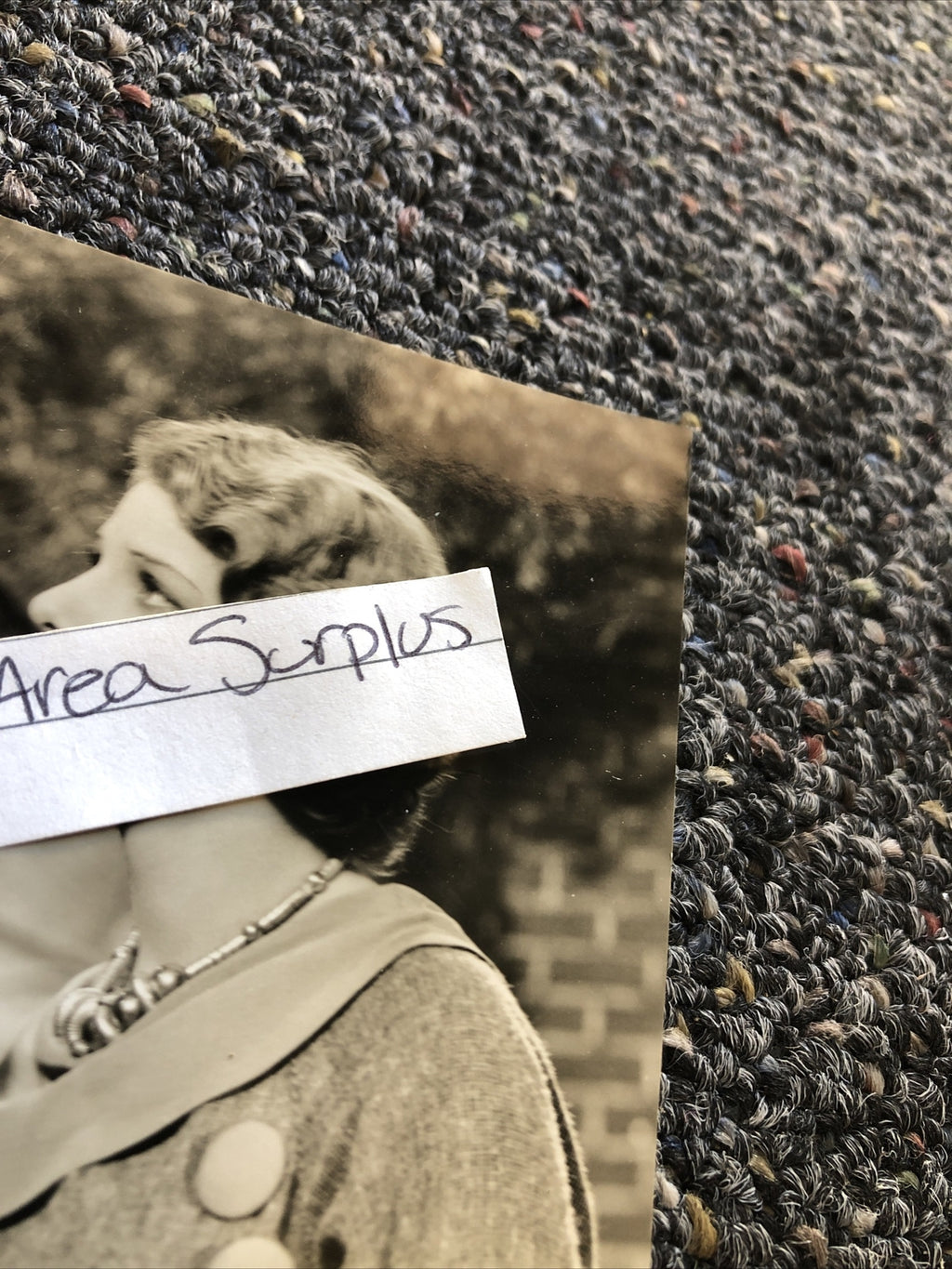 Rare Original Unpublished Photo Of RONALD COLMAN & ELISSA LANDI 5.5”x4”1