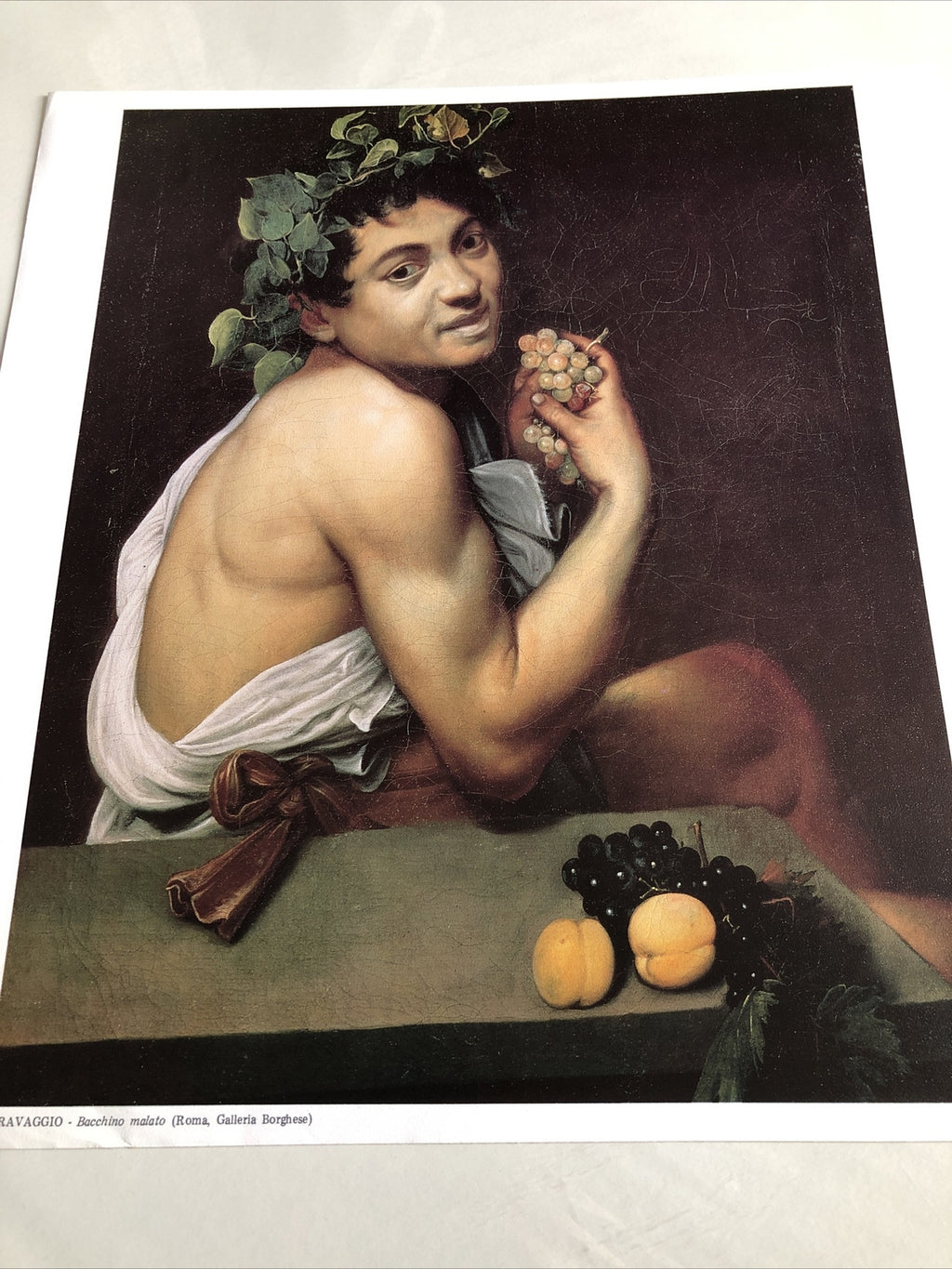 Caravaggio Bacchino Malato Print 14.5”x13.5”5