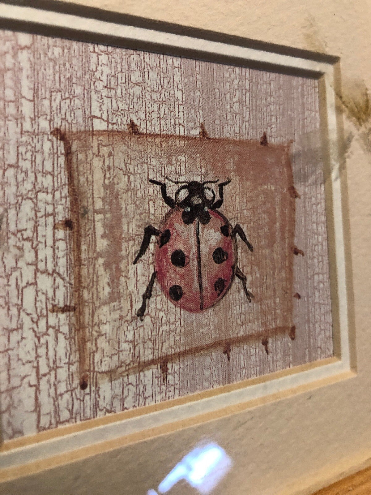Vintage Framed Ladybug Original Drawing Insects Bug 6.5”x6.5” & 3”x3” Lot Of 21