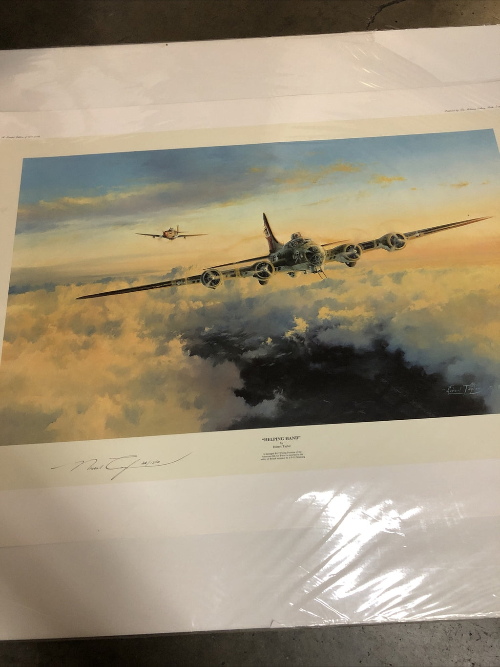 HELPING HAND by Robert Taylor - Signed And Numbered 708/1250 - 33”x23.5”10