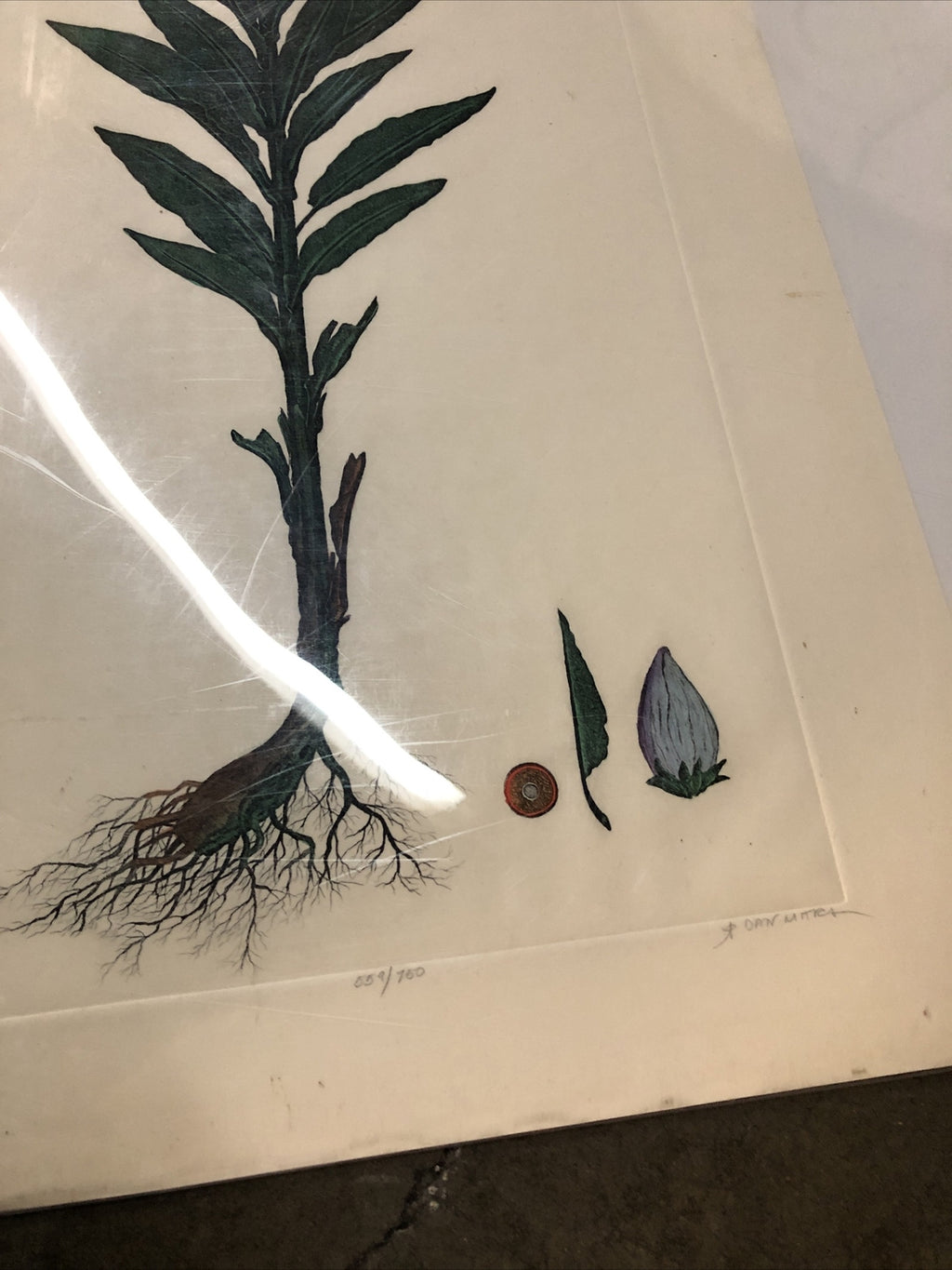 Dan Mitra Signed Etching Numbered 559/750 - 36”x16.5”9