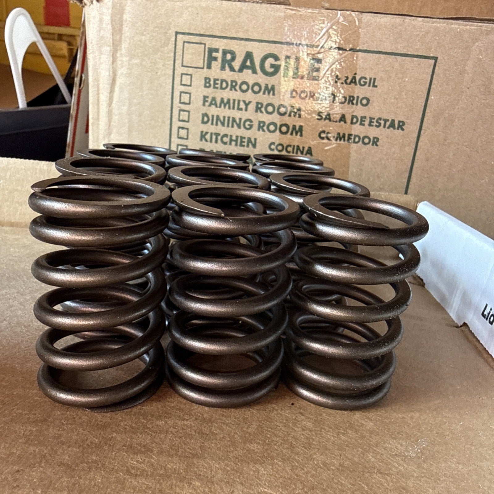 SBI 160-1172 Engine Valve Springs Set of 12- Fits Ford 170 L6 - New NOS2