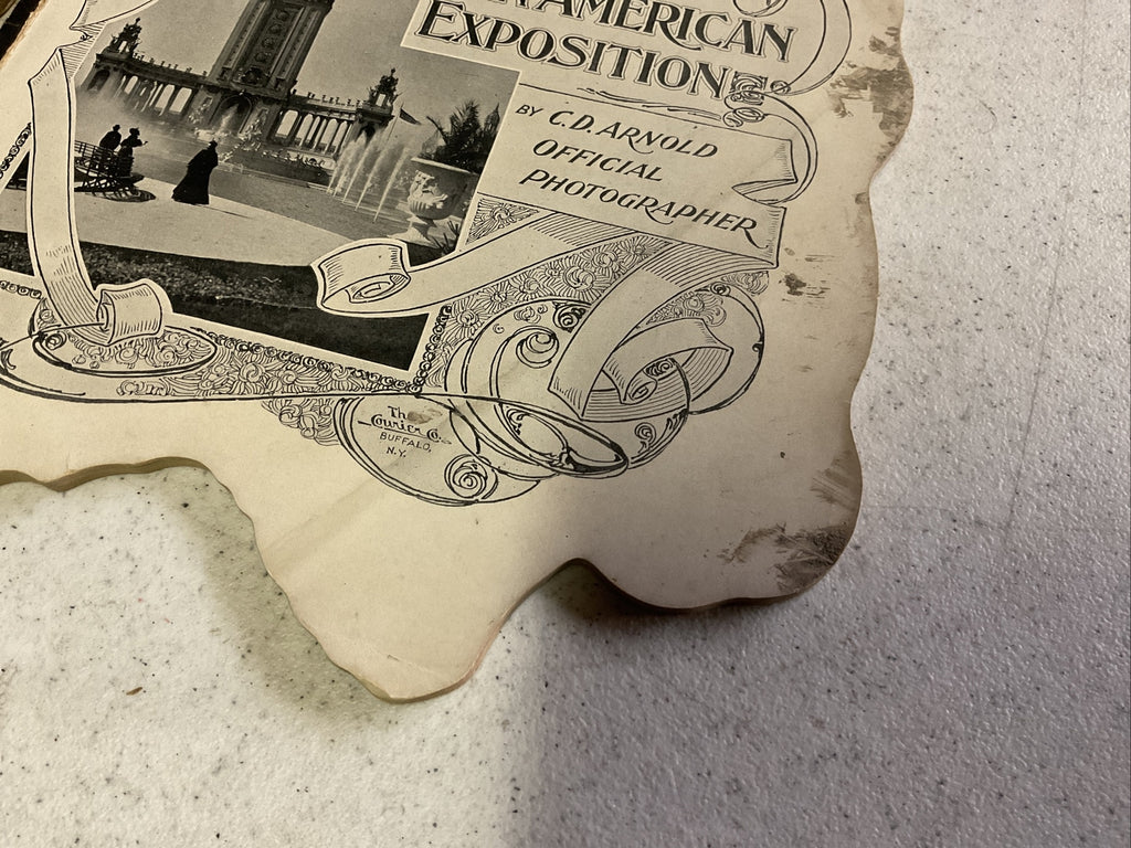 Glimpses of the Pan American Exposition by C.D. Arnold, 19016