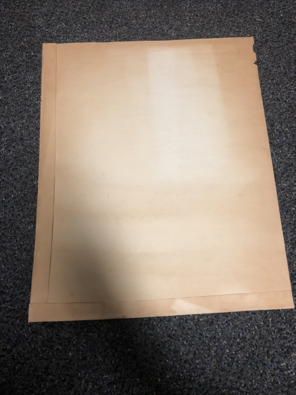 RARE Charter Membership Roll The Sons Of The American Legion Squadron No. 830 CA7