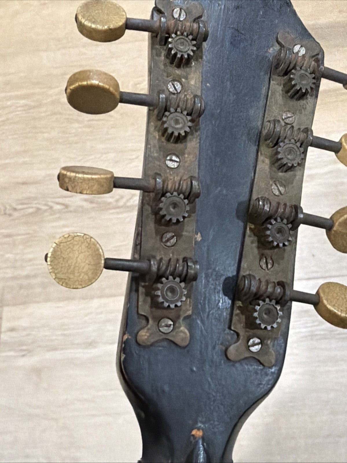 Antique Mandolin 1800s5