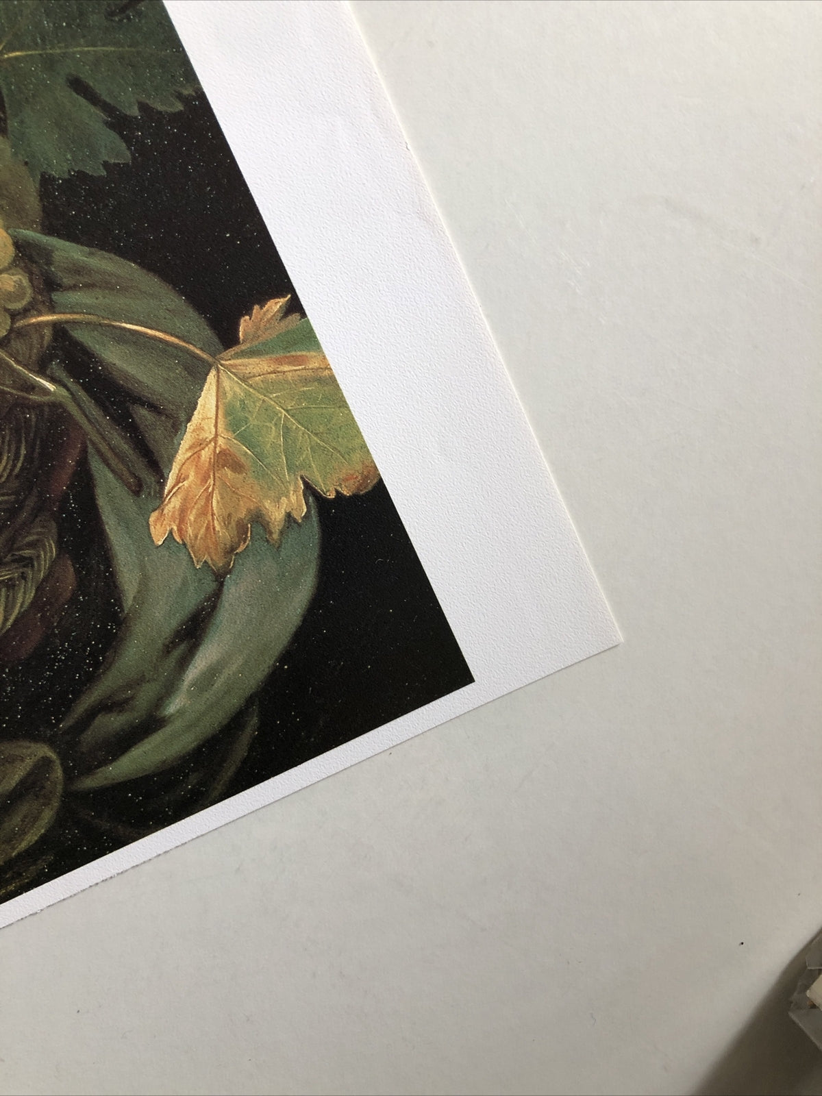 Caravaggio Ragazzo Con Canestro Di Frutta 14.5”x13.5”2