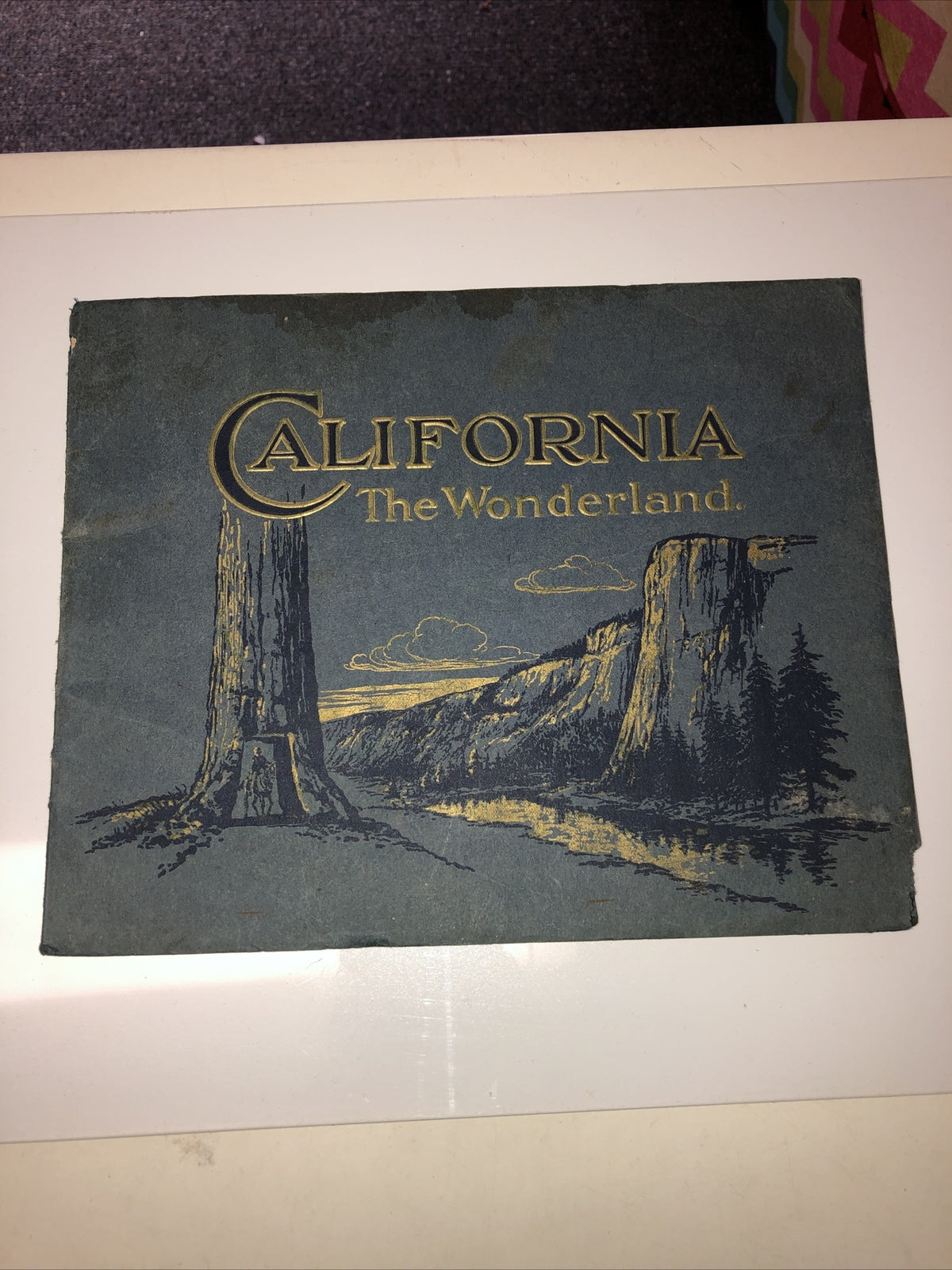 VINTAGE- California -The Wonderland- The Golden State2