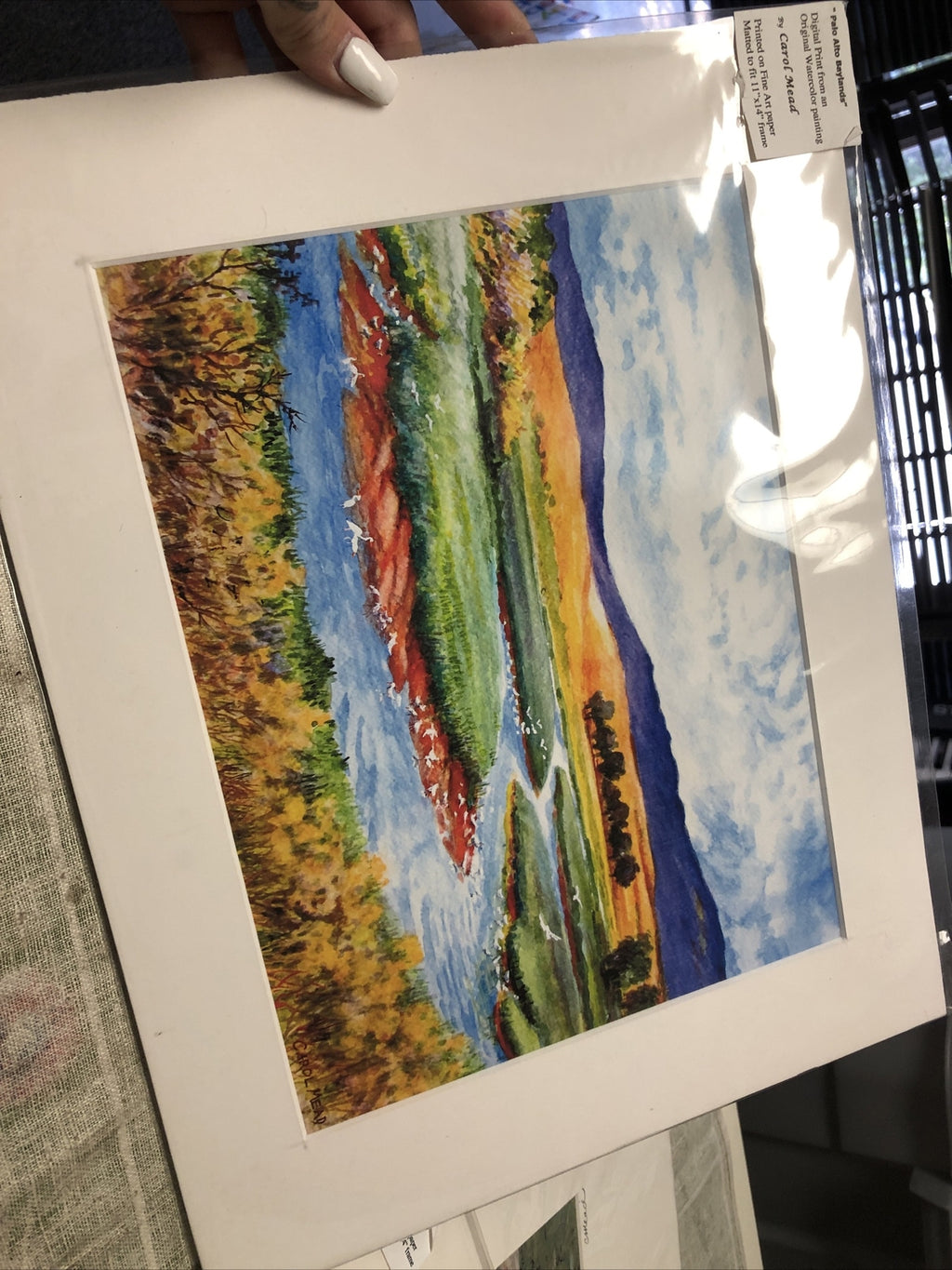 Digital Print From Watercolor Painting By Carol Mead 11x14” (Palo Alto Baylands)1