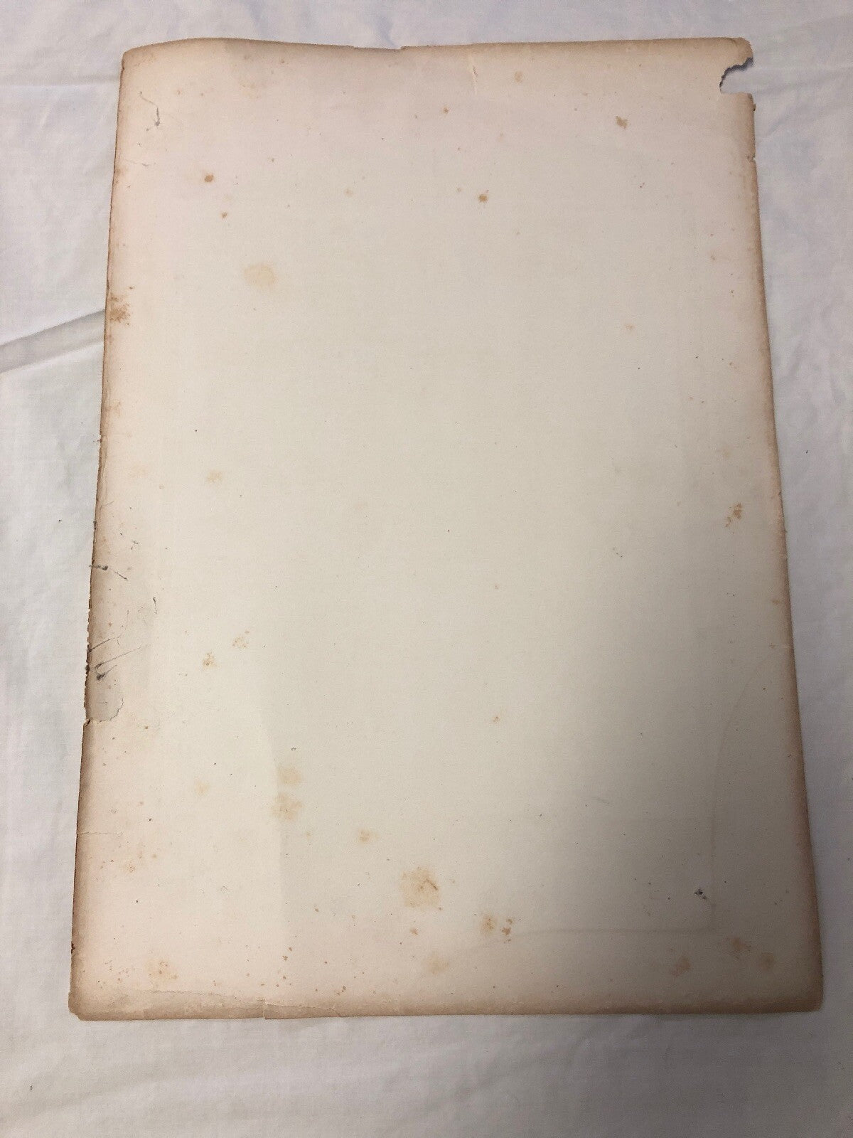The Reception Of An Ambassador -1870 Leon Y Escosura- George Barrie 1881 VTG4