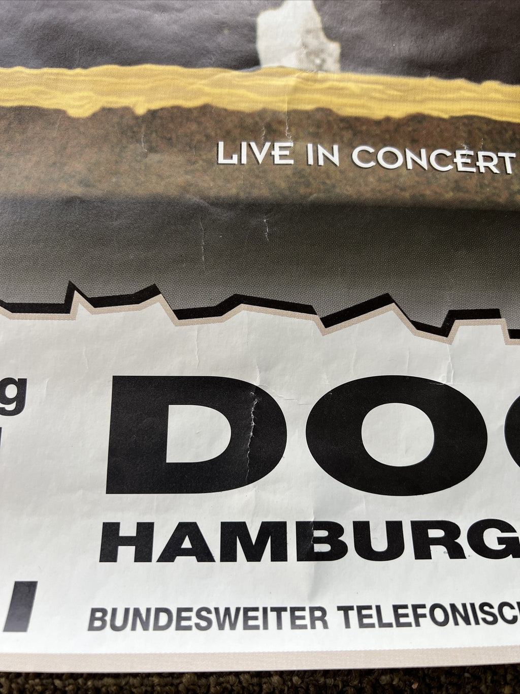 The Black Crowes Live in Concert Docks Hamburg German Tours Vintage MTV Poster 1