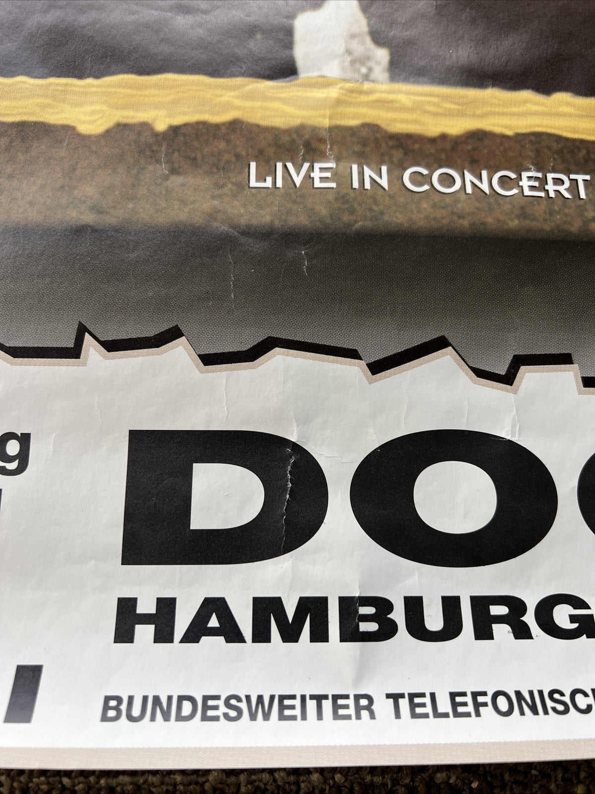 The Black Crowes Live in Concert Docks Hamburg German Tours Vintage MTV Poster 1