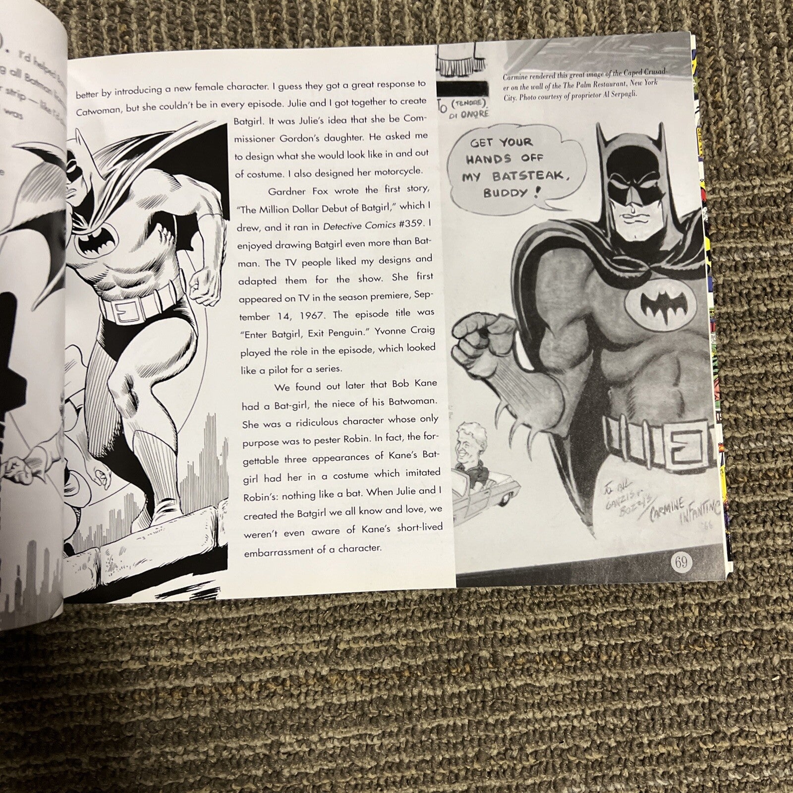 The Amazing World of Carmine Infantino Comic Art Book Novel2