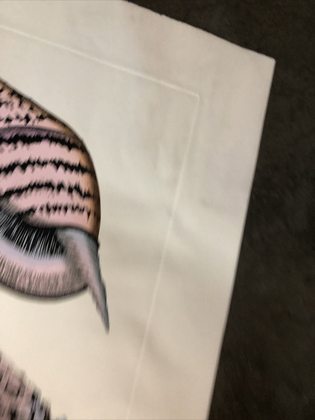 Dan Mitra Signed Etching “Nautilus” 36”x13”8