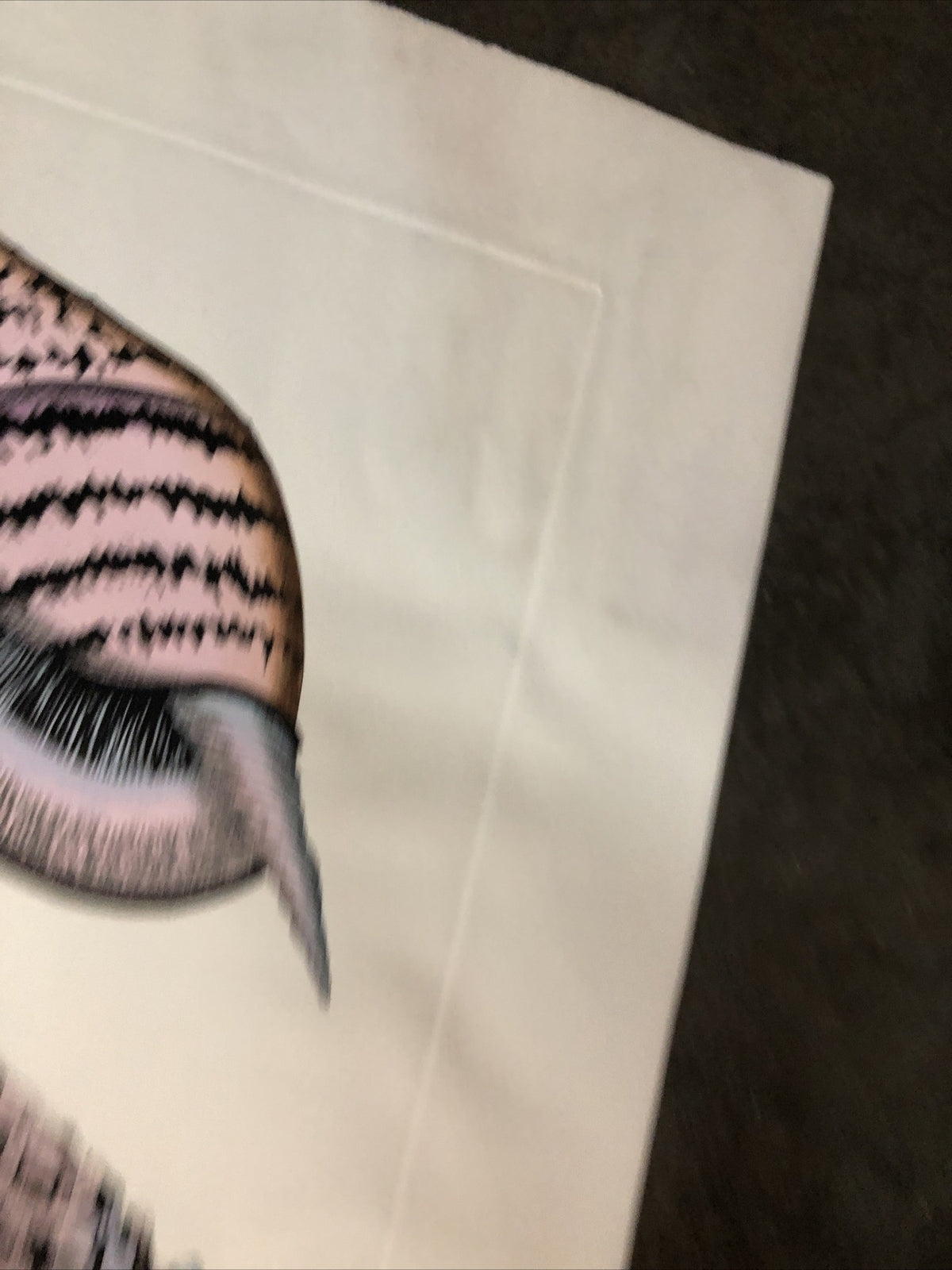 Dan Mitra Signed Etching “Nautilus” 36”x13”8