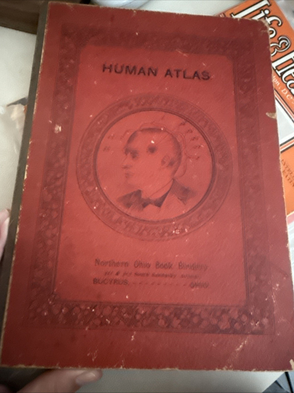 1900 Antique Medical  Book Dr. Weavers Family Atlas Of Human Diseases Rare0