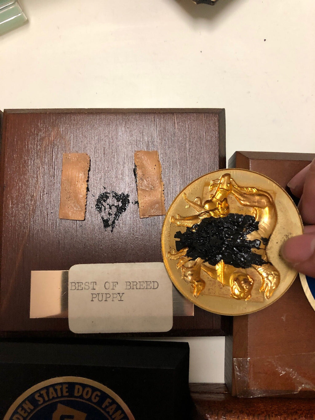 Lot 11 Chief Solano, Berkeley, Reno Kennel Club Golden State Dog Fanciers Medal6